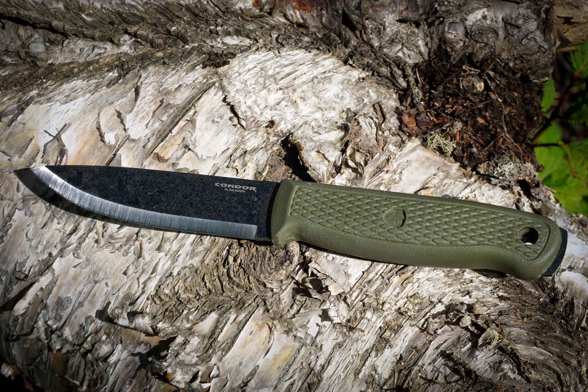 Condor Terrasaur: A Bushcraft Knife Review | Adventure Ryan